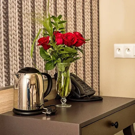 Kazimierz Iii Ξενοδοχείο Krasków